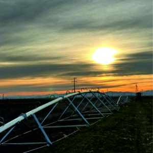 427426457_17965399712697647_1099780218610279559_n-1 (1)