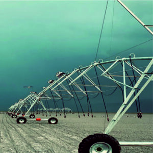 WhatsApp-Gorsel-2024-10-22-saat-14.56.40_0fc1977c